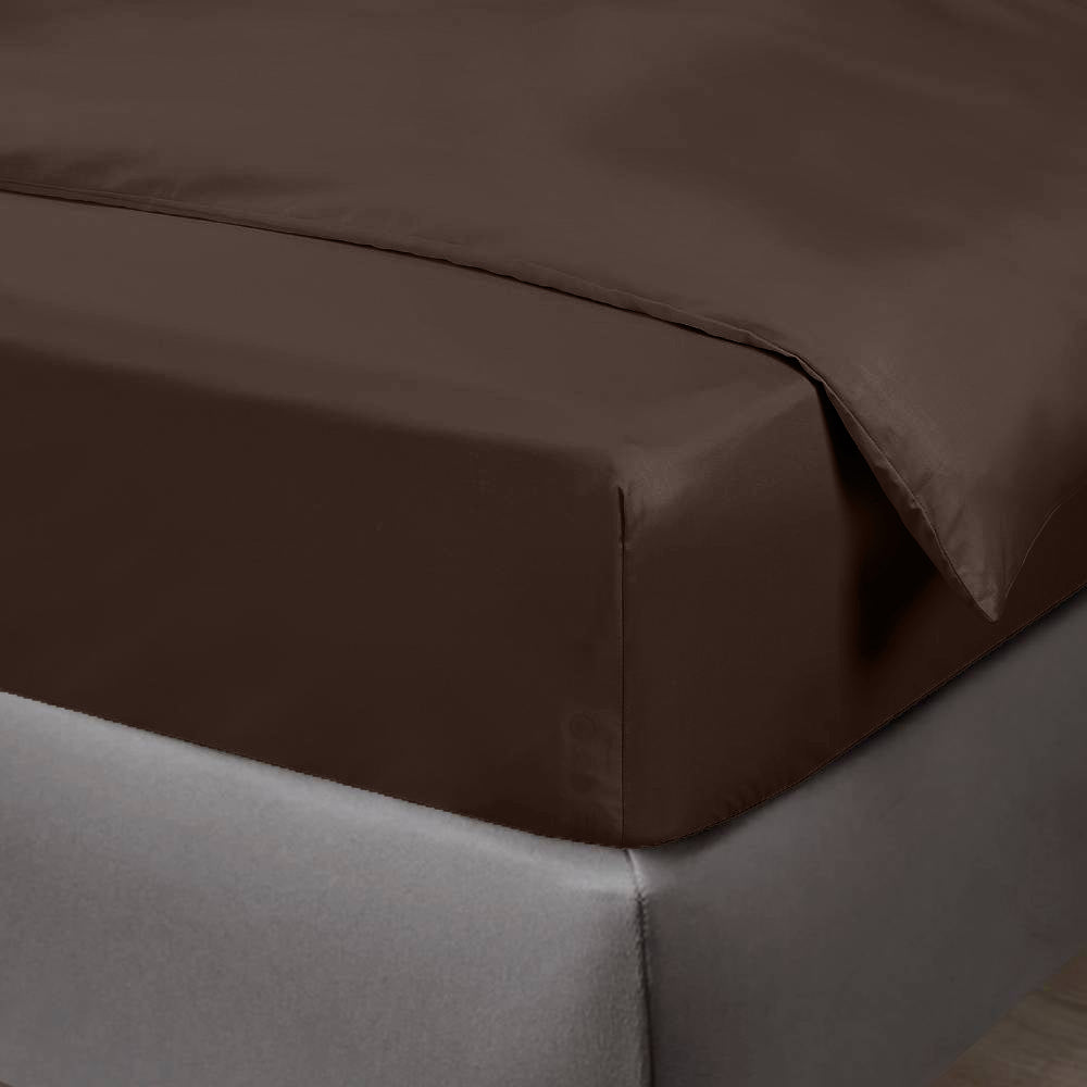 Bamboevormig blad in kastanjebruine kleur