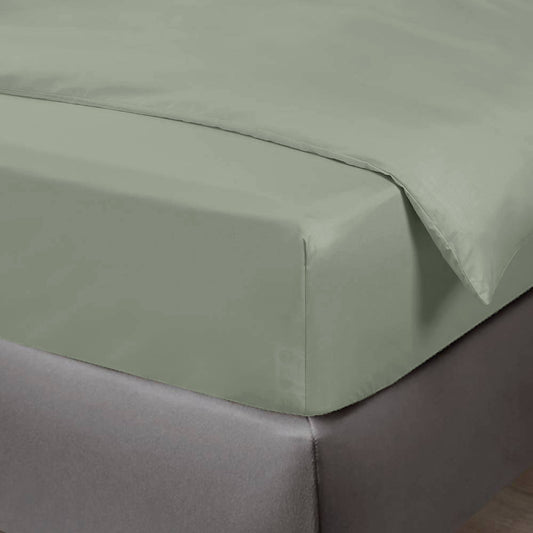 Bamboevormig vel in olijfgroen